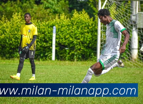 App Interface Preview