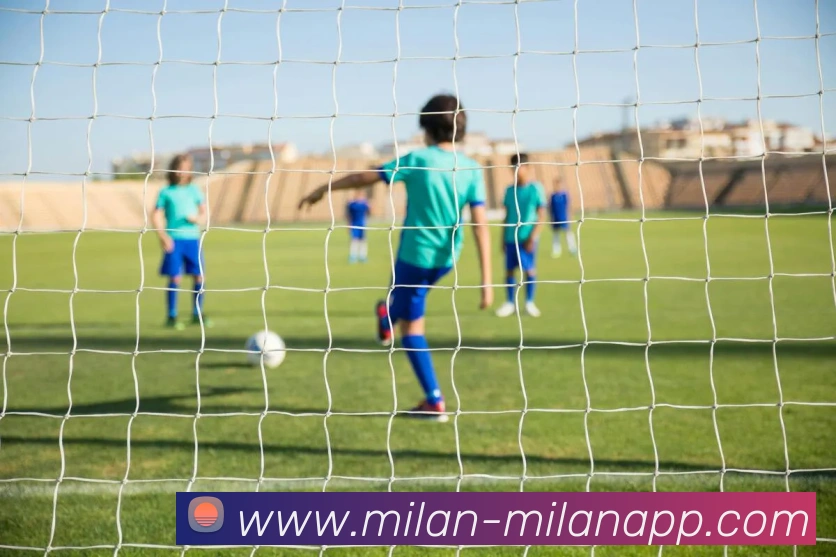 米兰体育APP 封面图